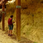 I fossili dell'affioramento attrezzato